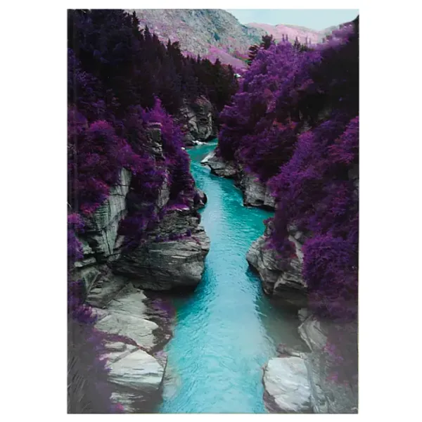 Тетрадь Idee Purple forest Количество листов - 96 / А4 photo 1