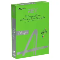 Бумага цветная Rey Adagio Зеленый / 500