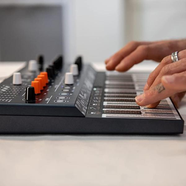 Sintetizator digital Arturia MicroFreak 25 clape / 4 voci / Plastic / Black photo 6