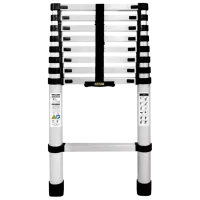 Лестница DRABEST DR-ST-TELE-2,6-HOME 1x9 125 кг