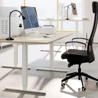 Офисный стол Ikea Trotten ДСП/ Белый photo 3