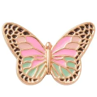 Джибитз Crocs CR10010187  Разноцветный / 1