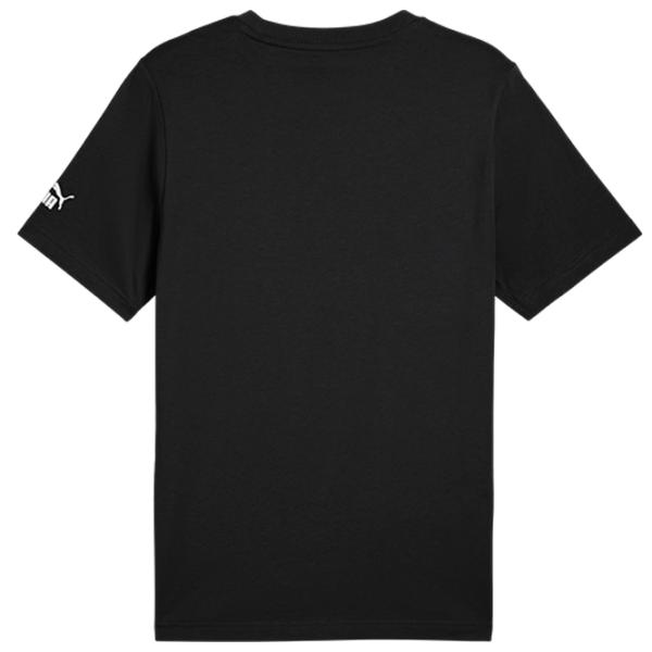 Футболка для мужчин Puma Sport Graphic 100% хлопок / Черный photo 3