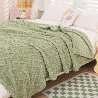 Cuvertură Relaxe Home 020453  100% poliester / Green