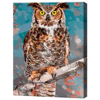 Картина по номерам Art Gallery Филин EX8316 40 x 30 cm / Вертикальная