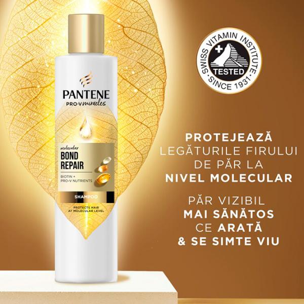 Șampon Pantene Bond Repair 0.25l photo 4