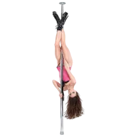 Танцевальный шест Fetish Fantasy Fantasy Dance Pole Серебряный photo 2