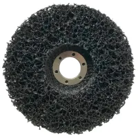 Disc de șlefuit Raider 164137 photo 2
