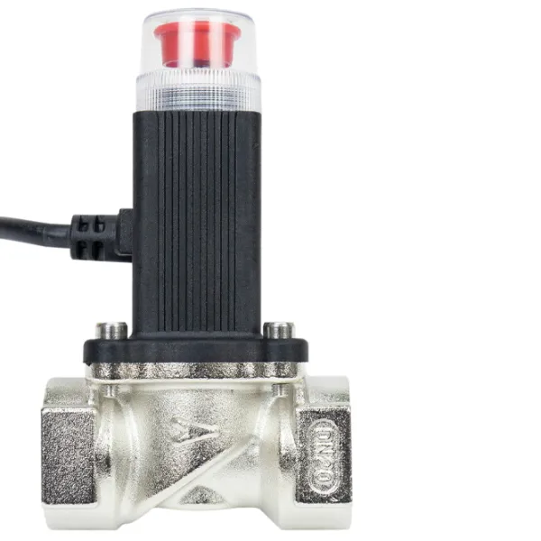 Detector de gaz PNI 250 DUAL GAS/CO White / 220 V photo 3