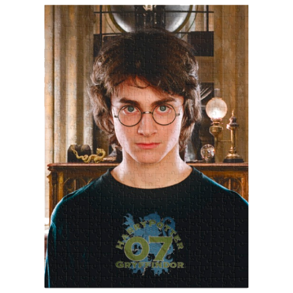 Пазл 2D DoDo Harry Potter 8+/ Количество деталей: 450 photo 2 Пазл 2D DoDo Harry Potter 8+/ Количество деталей: 450 photo 2