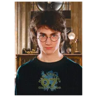 Puzzle 2D DoDo Harry Potter 8+/ Numărul de piese: 450 photo 2