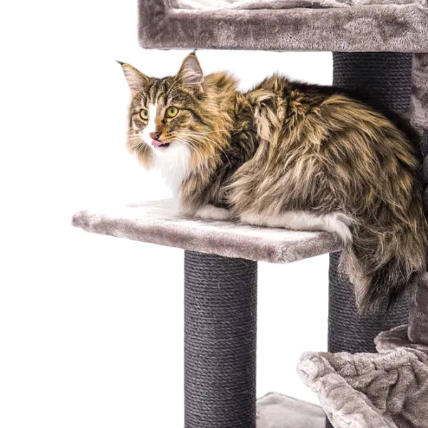 Когтеточка для кошек Petrebels Lucky Bastards Parklane  / Напольная / Cappuccino photo 4