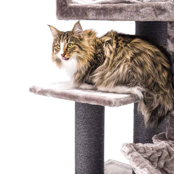 Когтеточка для кошек Petrebels Lucky Bastards Parklane  / Напольная / Cappuccino photo 4