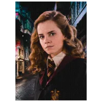 Puzzle 2D DoDo Hermiona 8+/ Numărul de piese: 450 photo 3
