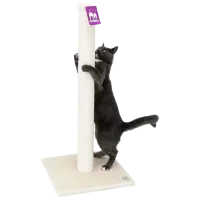 Ansamblu pentru pisici Petrebels Little Rebels Maine  / Pe podea / Cream