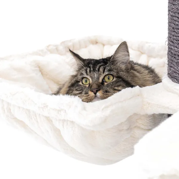 Когтеточка для кошек Petrebels The Rebels Maine Coon  / Напольная / Off White photo 2