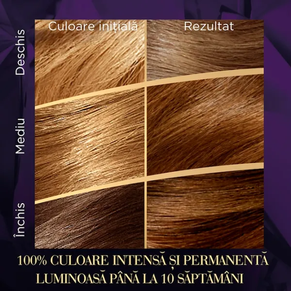 Краска для волос Wella Color Perfect Код цвета: 6/0, 0.135л photo 4 Краска для волос Wella Color Perfect Код цвета: 6/0, 0.135л photo 4