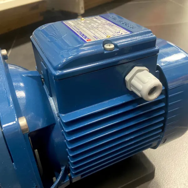 Насос для бассейна Pedrollo Magnifica 43MA031A1 1100 Вт 32000 л/ч photo 3