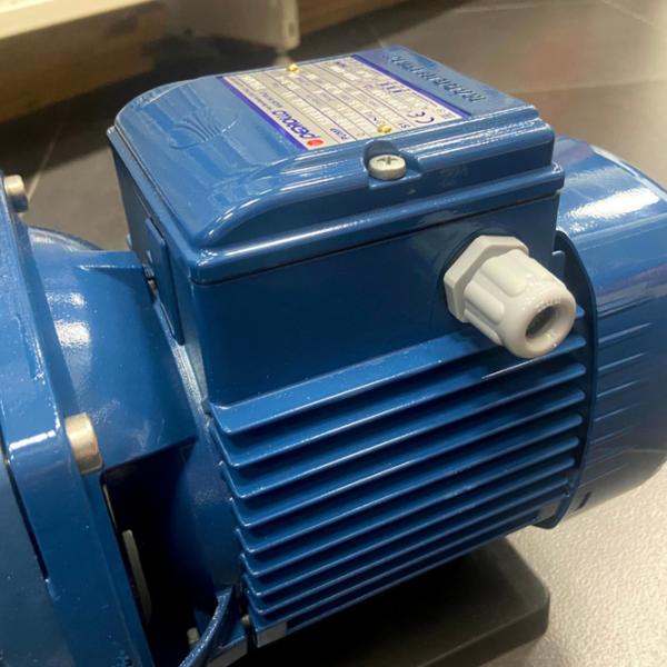 Насос для бассейна Pedrollo Magnifica 43MA031A1 1100 Вт 32000 л/ч photo 3