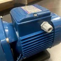 Pompă pentru piscină Pedrollo Magnifica 43MA031A1 1100 W 32000 l/h photo 3