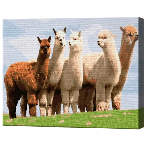 Картина по номерам Art Gallery Альпаки EX8225 40 x 30 cm / Горизонтальная photo 1 Картина по номерам Art Gallery Альпаки EX8225 40 x 30 cm / Горизонтальная photo 1