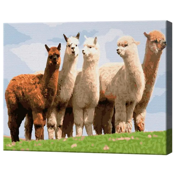 Картина по номерам Art Gallery Альпаки EX8225 40 x 30 cm / Горизонтальная photo 1 Картина по номерам Art Gallery Альпаки EX8225 40 x 30 cm / Горизонтальная photo 1