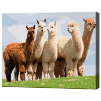 Картина по номерам Art Gallery Альпаки EX8225 40 x 30 cm / Горизонтальная