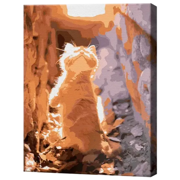 Картина по номерам Art Gallery Любопытный котик EX7942 40 x 30 cm / Вертикальная photo 1 Картина по номерам Art Gallery Любопытный котик EX7942 40 x 30 cm / Вертикальная photo 1