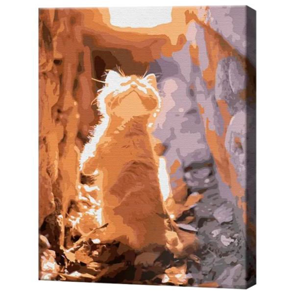 Картина по номерам Art Gallery Любопытный котик EX7942 40 x 30 cm / Вертикальная photo 1 Картина по номерам Art Gallery Любопытный котик EX7942 40 x 30 cm / Вертикальная photo 1