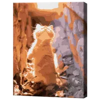 Картина по номерам Art Gallery Любопытный котик EX7942 40 x 30 cm / Вертикальная