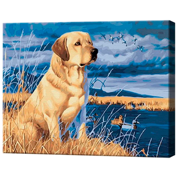 Картина по номерам Art Gallery Маленький лабрадор EX8302 40 x 30 cm / Горизонтальная photo 1