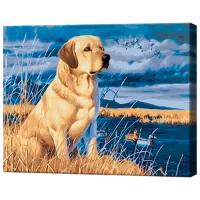 Pictură pe numere Art Gallery Labrador EX8302 40 x 30 cm / Orizontală
