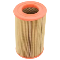 Filtru de aer Wix Filters WA6563 WX-WA6563