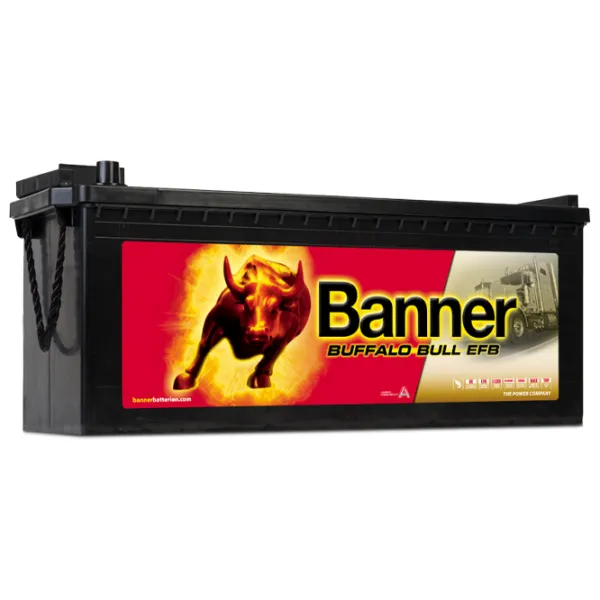 Acumulator auto Banner Buffalo Bull SHD PRO 725 03 1150A / 225 Ah  photo 1