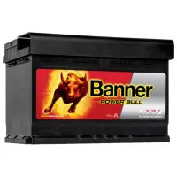Авто аккумулятор Banner Power Bull P60 09 540A / 60 Ач 