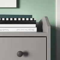 Шкаф для прихожей Ikea Hauga МДФ / Серый photo 3