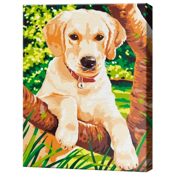 Картина по номерам Art Gallery Маленький лабрадор EX8423 40 x 30 cm / Вертикальная photo 1 Картина по номерам Art Gallery Маленький лабрадор EX8423 40 x 30 cm / Вертикальная photo 1