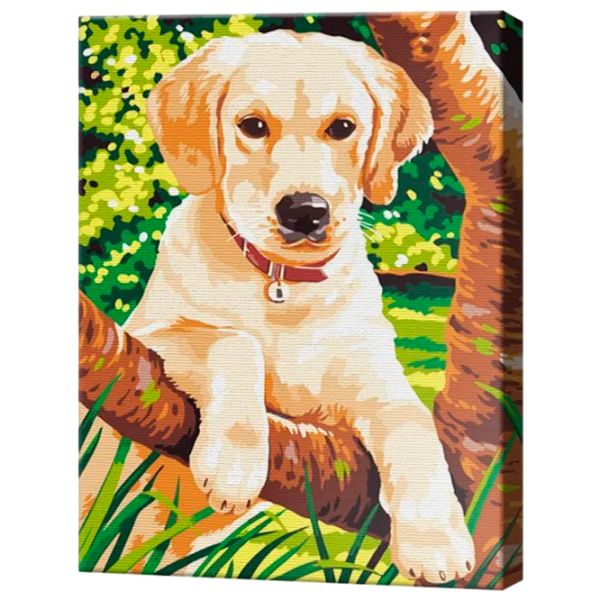 Картина по номерам Art Gallery Маленький лабрадор EX8423 40 x 30 cm / Вертикальная photo 1 Картина по номерам Art Gallery Маленький лабрадор EX8423 40 x 30 cm / Вертикальная photo 1