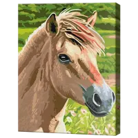 Картина по номерам Art Gallery Милый жеребенок EX5078 40 x 30 cm / Вертикальная