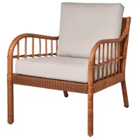 Scaun de grădină Ikea Holmsta/Froknabo Ratan natural / Ratan natural / Brown Brown