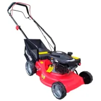 Газонокосилка бензиновая Raider RD-GLM13 Ручной