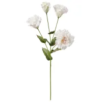 Plantă artificială Ikea Smycka White / Înălțimea (cm) - 60