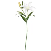 Plantă artificială Ikea Smycka White / Înălțimea (cm) - 85