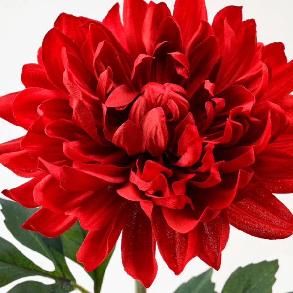 Plantă artificială Ikea Smycka Red / Înălțimea (cm) - 75 photo 4