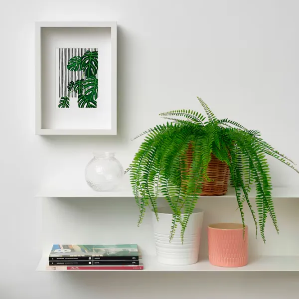 Искусственное растение Ikea Fejka Зеленый / Высота (см) - 47 photo 2 Искусственное растение Ikea Fejka Зеленый / Высота (см) - 47 photo 2
