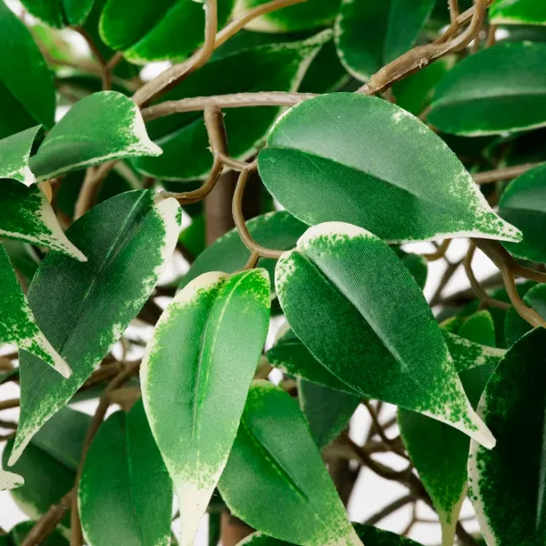 Plantă artificială Ikea Fejka Green / Înălțimea (cm) - 170 photo 3