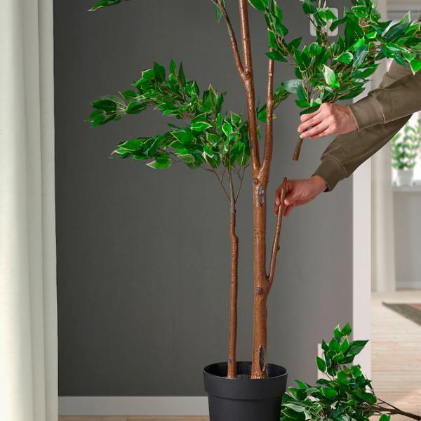Plantă artificială Ikea Fejka Green / Înălțimea (cm) - 170 photo 4