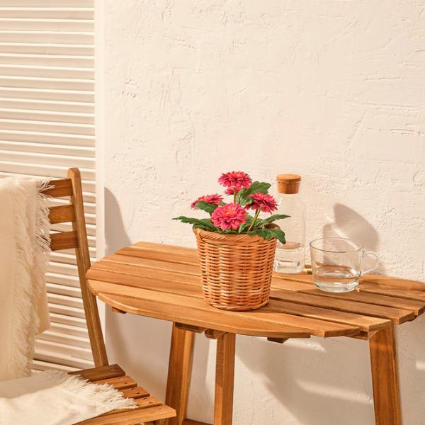 Искусственное растение Ikea Fejka Зеленый / Высота (см) - 24 photo 4 Искусственное растение Ikea Fejka Зеленый / Высота (см) - 24 photo 4