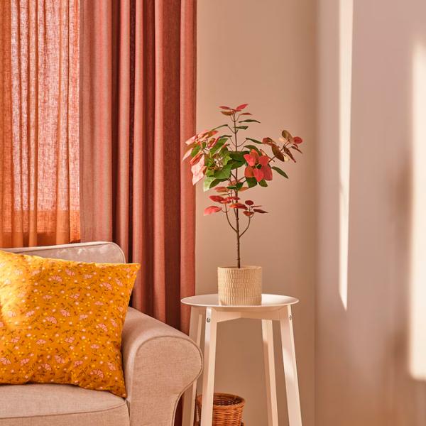 Искусственное растение Ikea Fejka Зеленый / Высота (см) - 66 photo 2 Искусственное растение Ikea Fejka Зеленый / Высота (см) - 66 photo 2