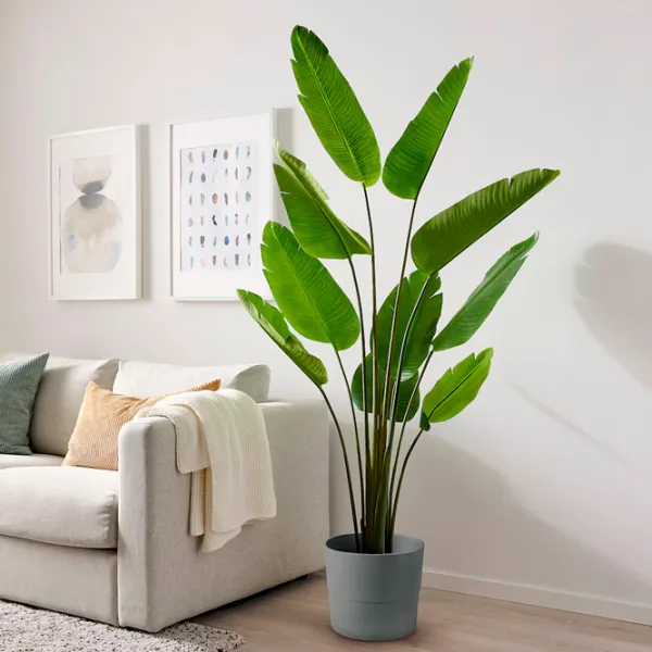 Plantă artificială Ikea Fejka Green / Înălțimea (cm) -  photo 2